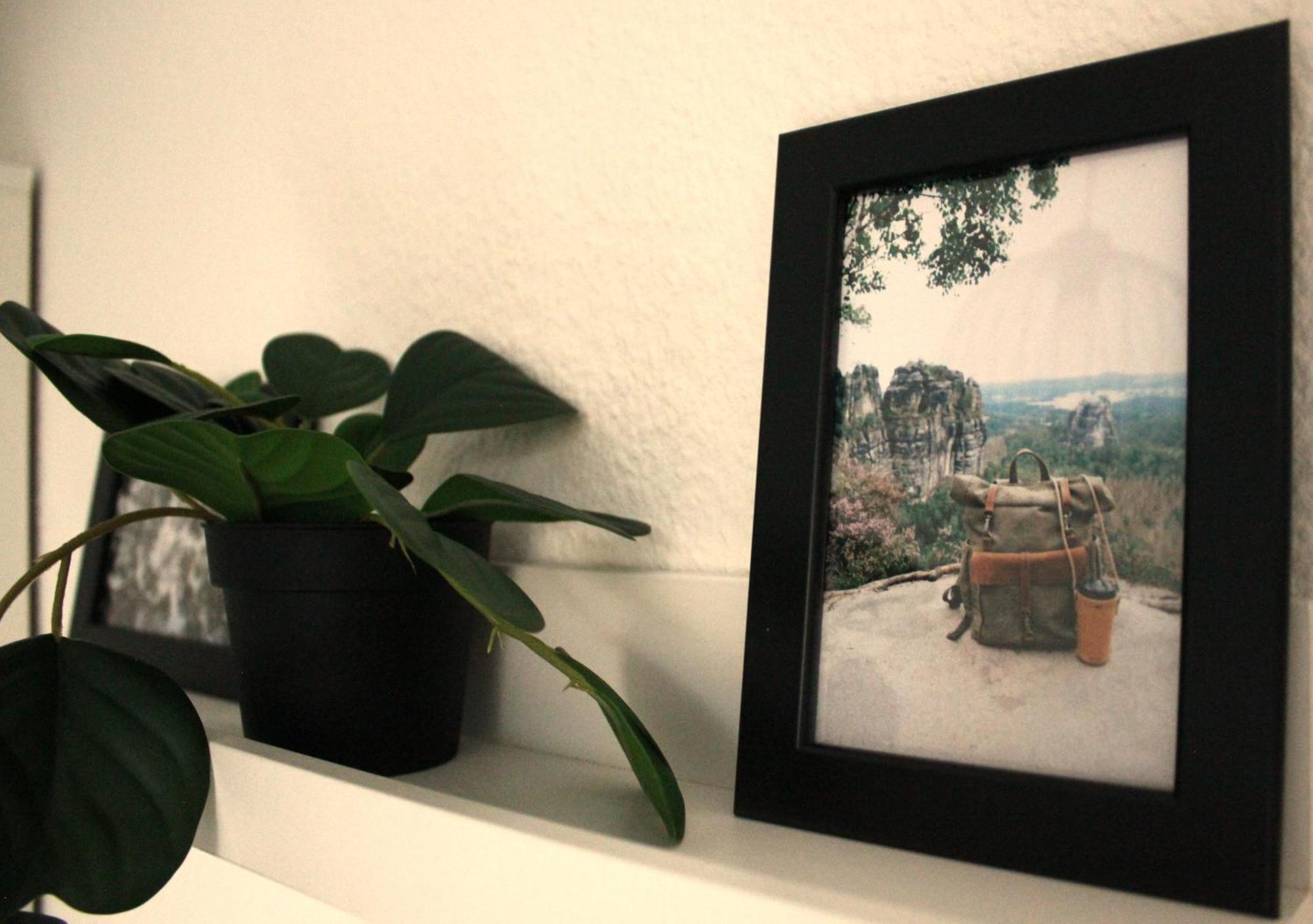 "Altjessen 57" Hotel Pirna Bagian luar foto
